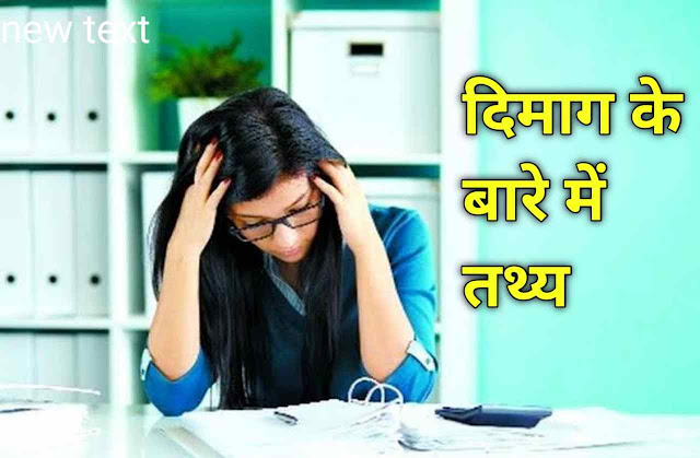 amazing facts in hindi